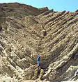 Syncline in the Barstow Formation, lower parking lot of Calico Ghost Town near Barstow, California.