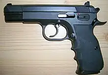 Tanfoglio T95 Combat/EAA Witness 9&nbsp;mm with blued finish.