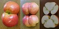 Twin apples