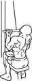 Narrow grip underhand pull-down end