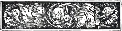 Rabbitheaderartwork.png