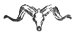 Wild animals I Have Known - title image b.png