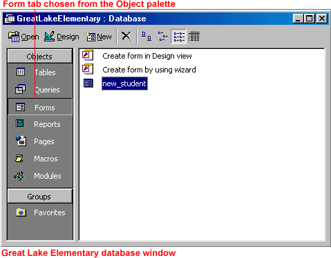Great Lake Elementary database window.  Form tab chosen from the Object palette.
