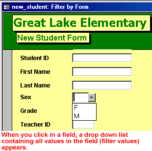 Picture of Great Lake Elementary form - When you click in a field, a drop-down list containing 
      all the criteria in the field