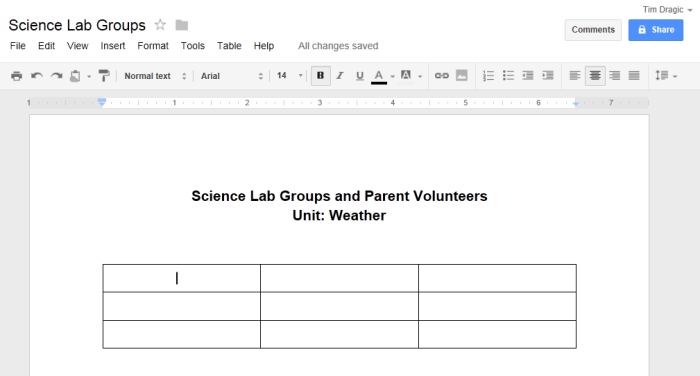 Screenshot of Google Documents