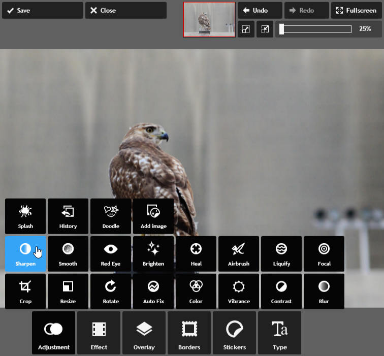 screenshot of Pixlr