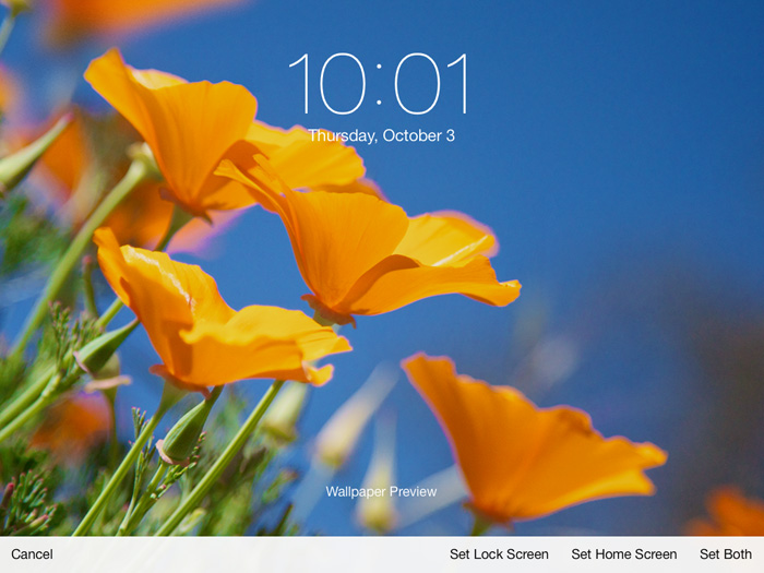 Screenshot of Access 2013