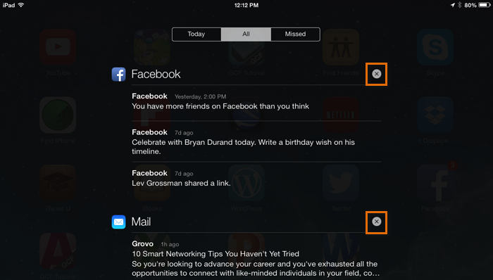 Screenshot of the iPad