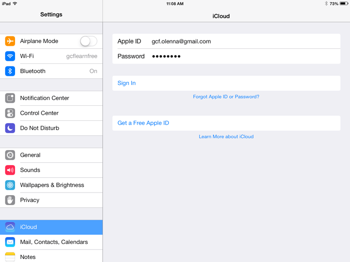 Screenshot of the iPad