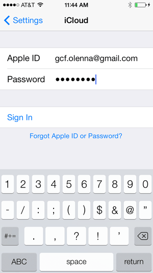 Screenshot of the iPhone