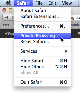 Screenshot of OS X Mountain Lion