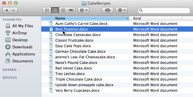 Screenshot of Mac OS X