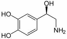 Noradrenalin noradrenaline
