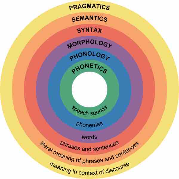 Major levels of linguistics