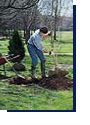 Enjoying your Lawn and Garden