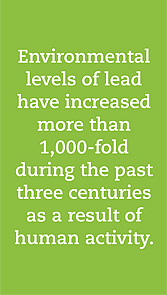 Lead and the Environment