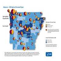 Arkansas EMS Agency Personnel Types