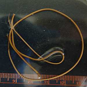 Figure C