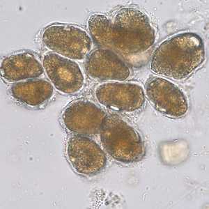 Case253_A