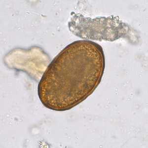 Case253_C