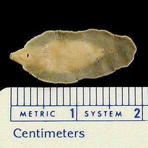 Case263_C