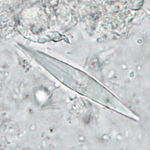 Case286_B