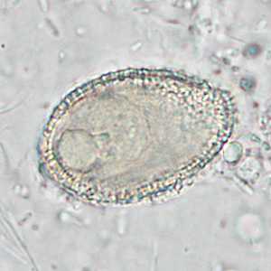 Case286_C