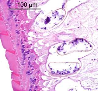 Case288_D