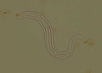 	Case294_B