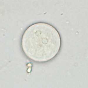 Case361_B
