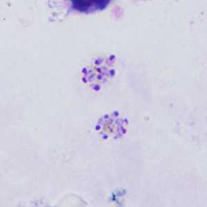 Case398_B