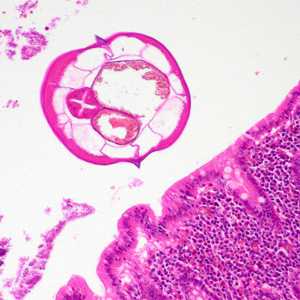 Case400_C