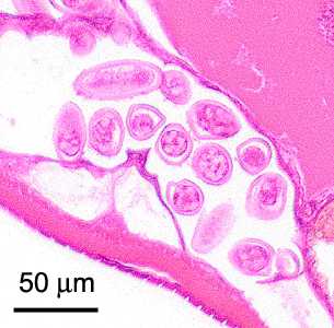 Case400_E