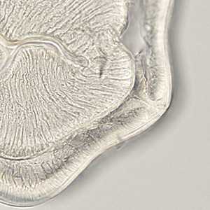 Case401_E