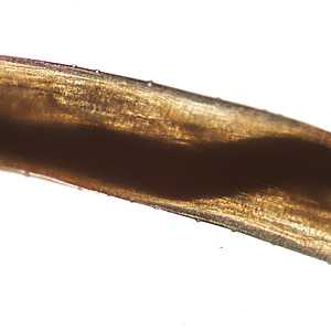 Figure C