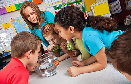 Animals in Schools