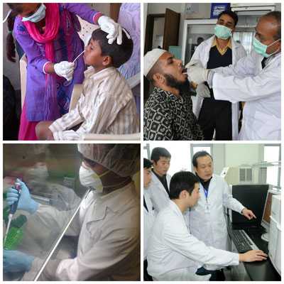 International influenza laboratory and surveillance work.