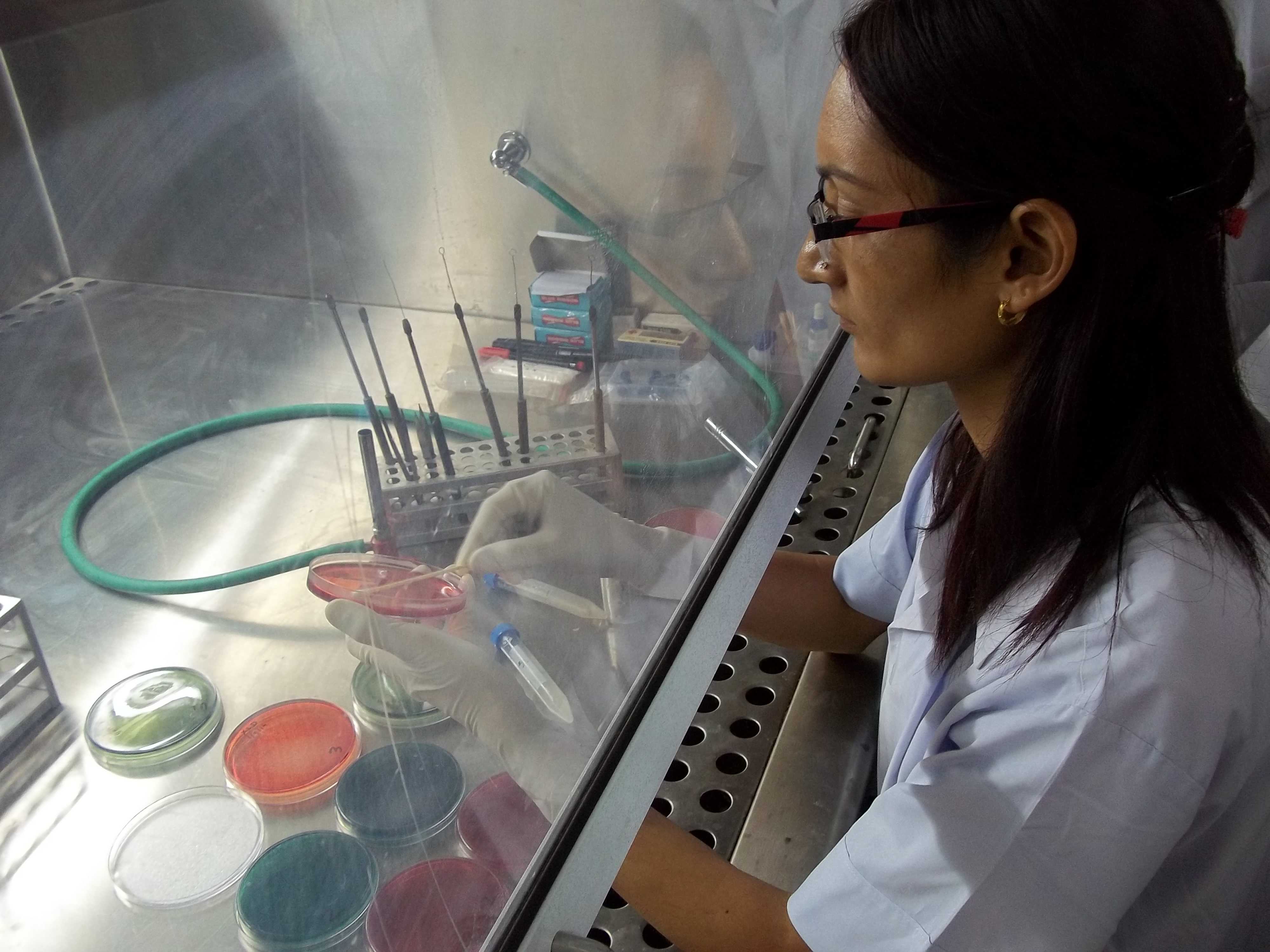 Laboratorian receives training through the Global Acute Diarrheal Disease pilot project.