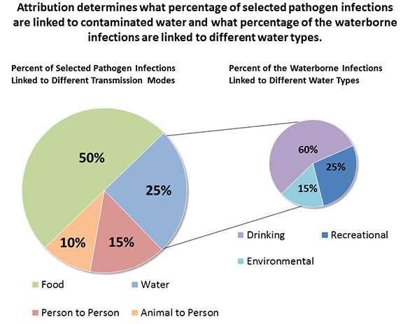 Attribution pie chart showing how attribution determines what percentage of selected pathogen infections are linked to contaminated water and what percentage of the waterborne infections are linked to different water types. Food is 50%, Water 25%, Person to Person 15%, Animal to Person 10%. The water wedge breaks down in to a smaller pie chart showing 60% due to drinking water, recreational water 25%, and environmental 15%.