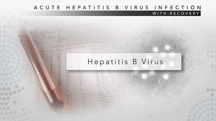 HBV