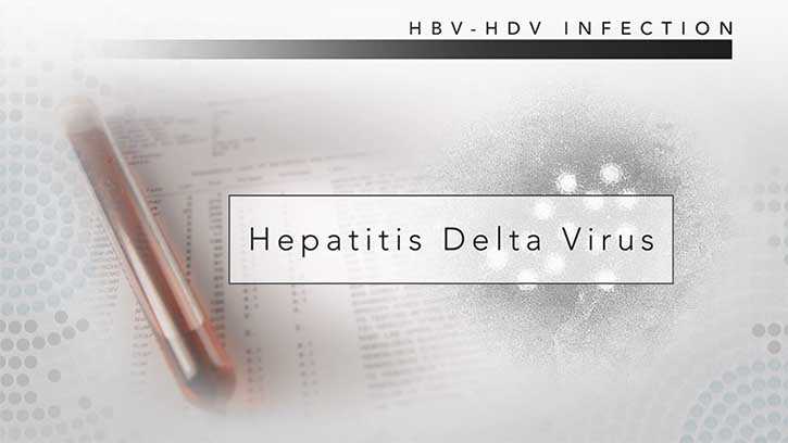 HDV