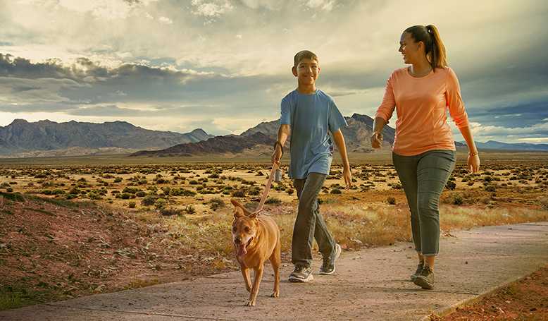 Make Albuquerque your gym by taking a walk