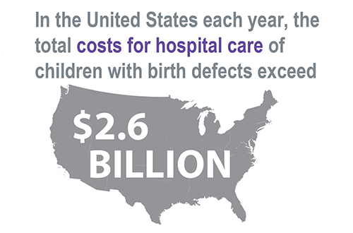 In the United States each year, the total cost for hospital care of children with birth defects exceed $2.6 billion.