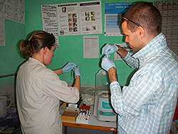 Ellen Yard, PhD (EIS 09) and Kevin Chatham-Stephens, MD (EIS 13) label blood samples obtained during an investigation of liver disease in Tigray, Ethiopia.