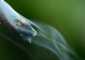 Synthetic marijuana
