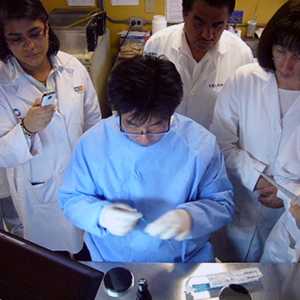 Campylobacter training with binational laboratory experts.
