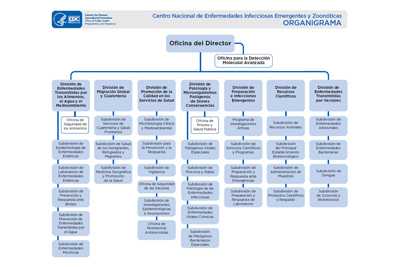 	ncezid organigrama