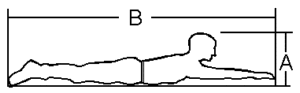 Prone body dimensions Prone body dimensions