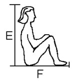 Seated body dimensions Seated body dimensions