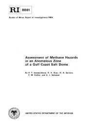 Image of publication Assessment of Methane Hazards in an Anomalous Zone of a Gulf Coast Salt Dome